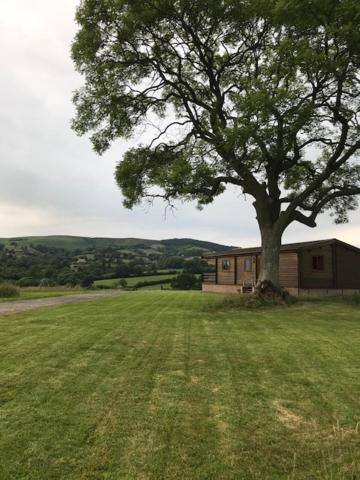 Redwood Lodge Ludlow Εξωτερικό φωτογραφία