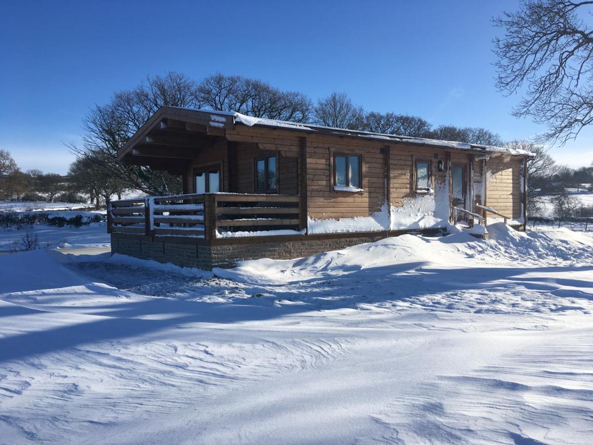 Redwood Lodge Ludlow Εξωτερικό φωτογραφία
