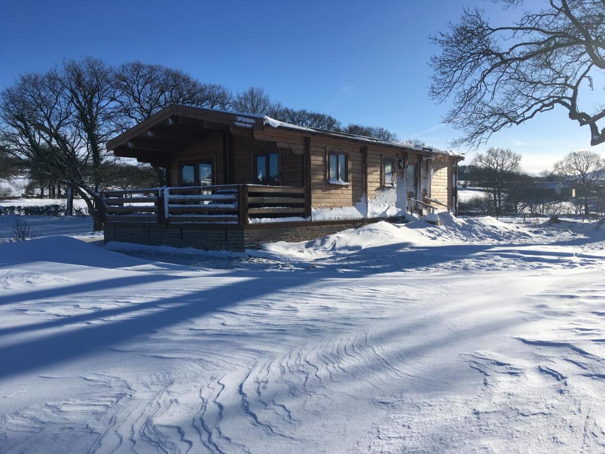 Redwood Lodge Ludlow Εξωτερικό φωτογραφία