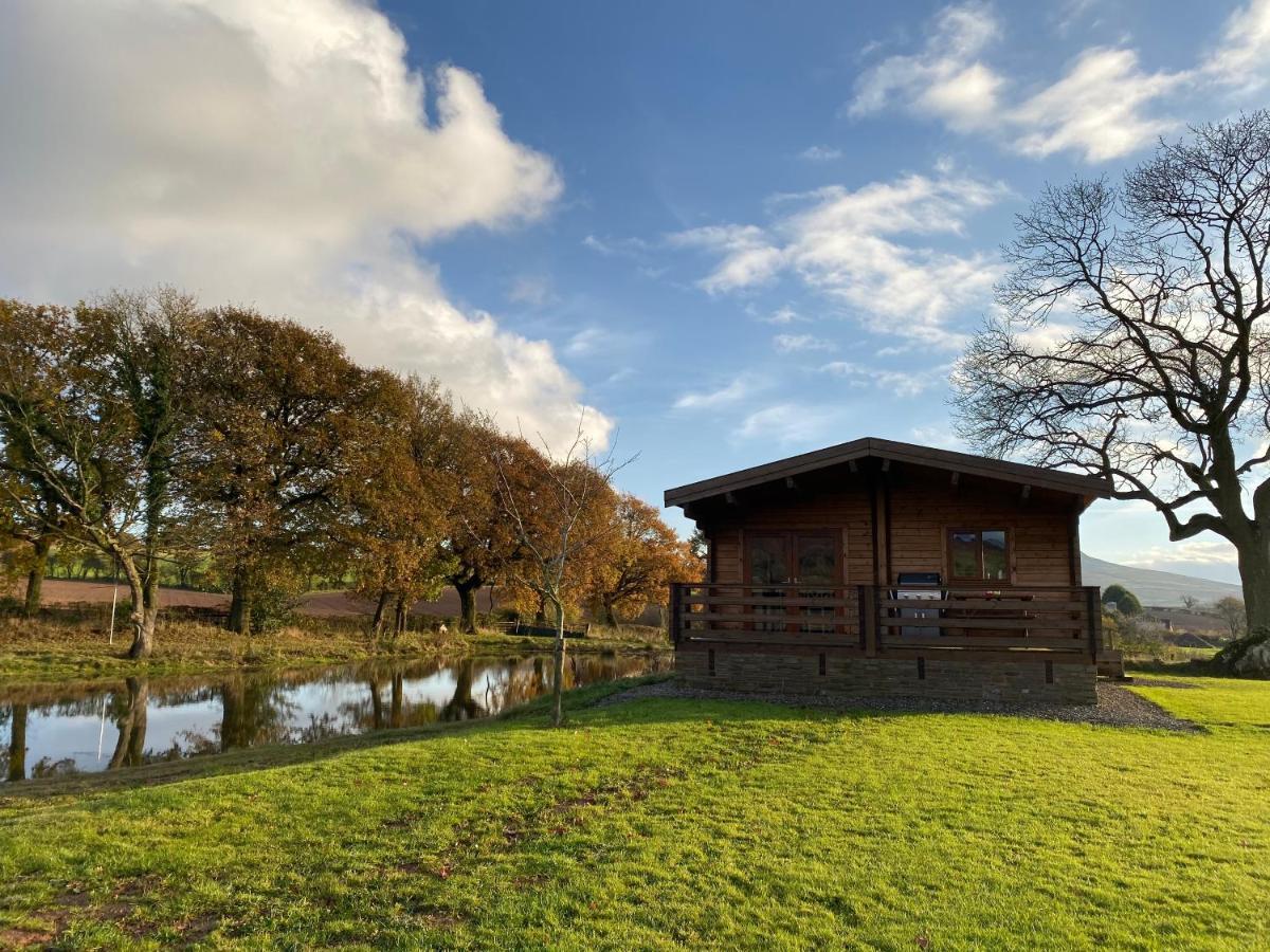 Redwood Lodge Ludlow Εξωτερικό φωτογραφία